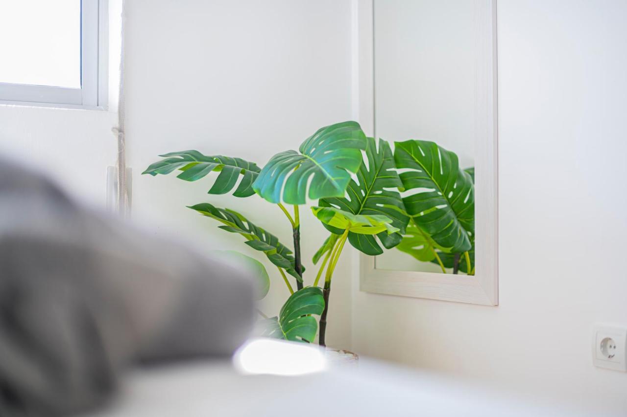 Apartament Levante Dreams House Tarifa Zewnętrze zdjęcie